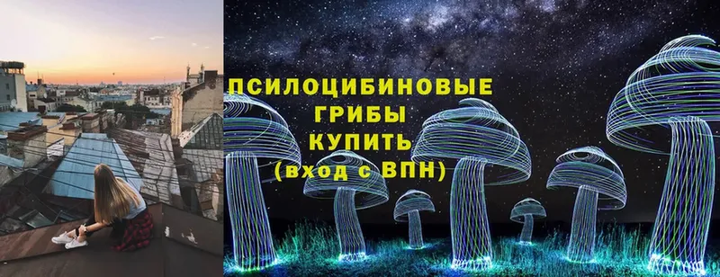 Галлюциногенные грибы Magic Shrooms  Новороссийск 